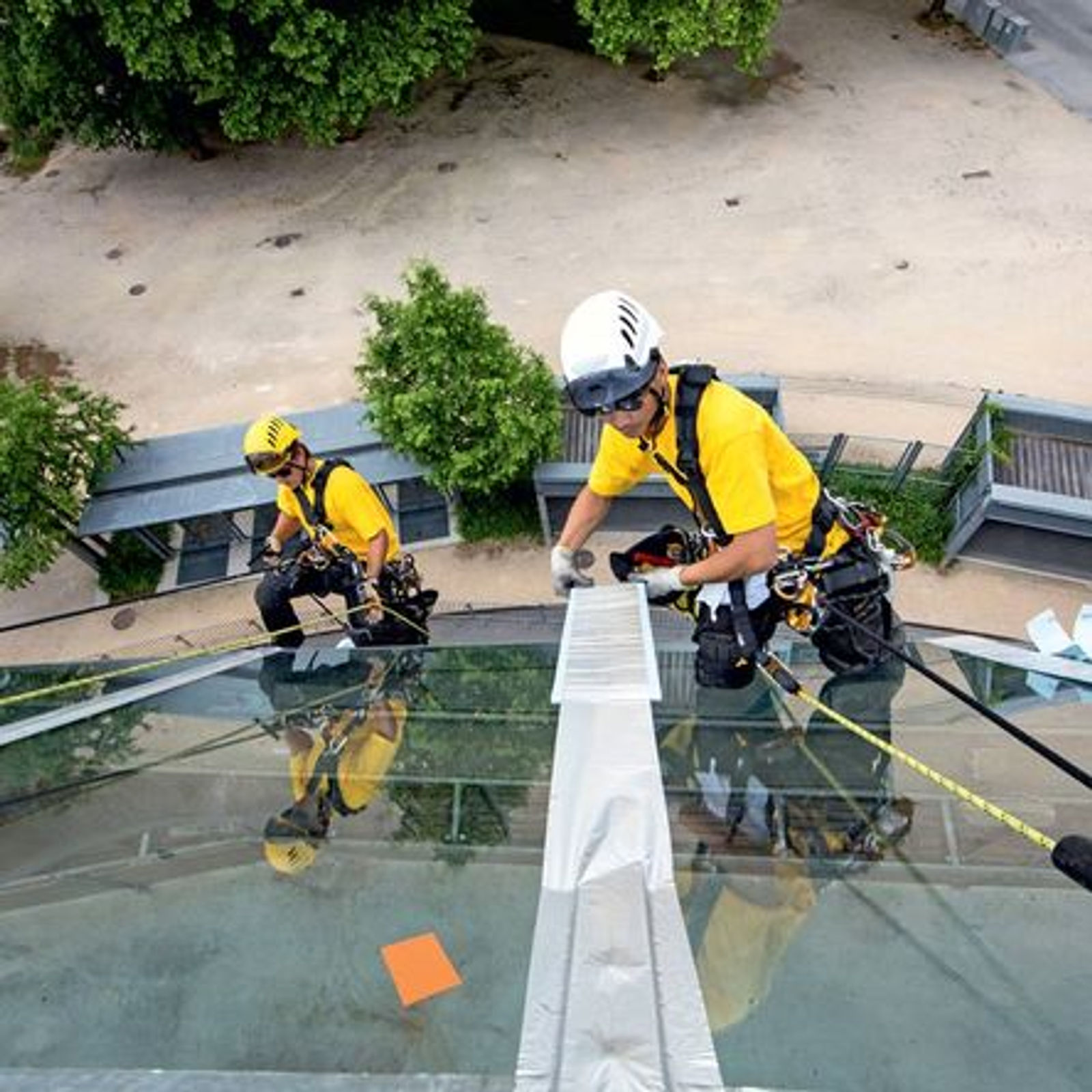 Window installers