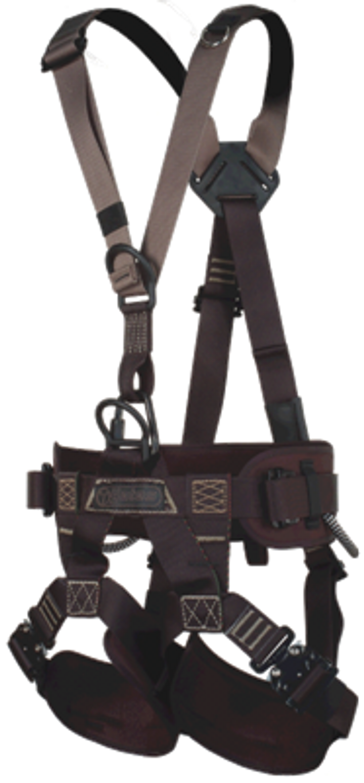 Basic Rigging